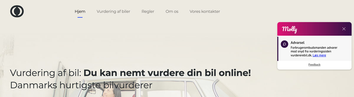 Vurder bil med Molly